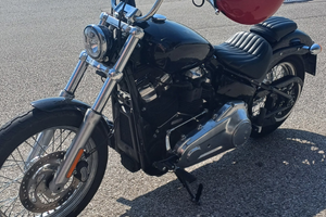 Harley davidson softail standard