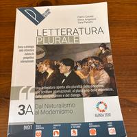 3a letteratura plurale dal naturalismo al modernis