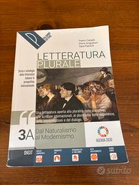 3a letteratura plurale dal naturalismo al modernis