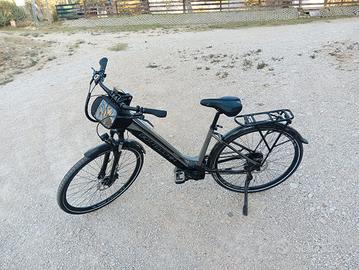 bicicletta elettrica