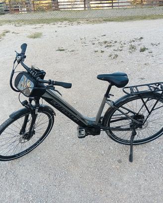 bicicletta elettrica
