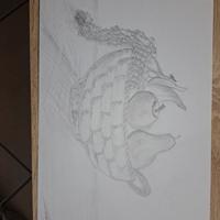 disegno con frutti autunnali