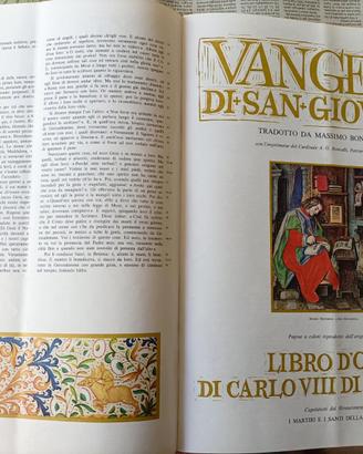 Libro dei Vangeli
