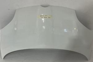 COFANO ANTERIORE FIAT Panda 3° Serie (12>)