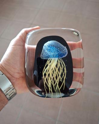 Medusa vetro