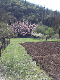 Terreno agricolo arativo/seminativo