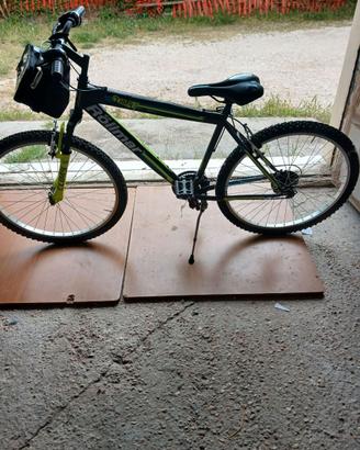 Bicicletta uomo