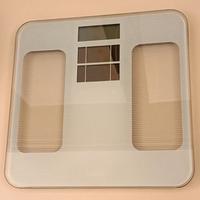 bilancia laica solare pesa persone 