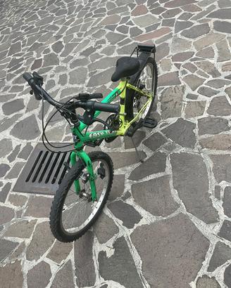 bicicletta bambino