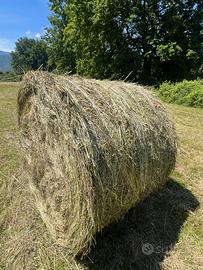 Balloni