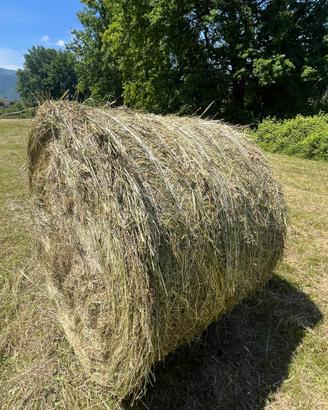 Balloni