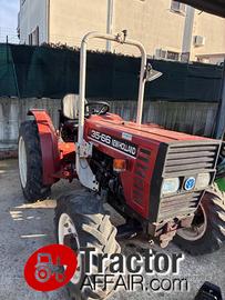 TRATTORE NEW HOLLAND FIAT 35-66 DT USATO FRUTTETO