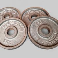 4 Dischi Ghisa 5kg Olympian’s Foro 50