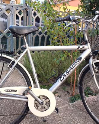 bici uomo 