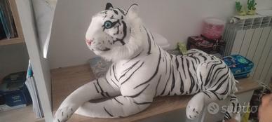 Tigri