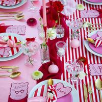 6 piatti in porcellana Limoges