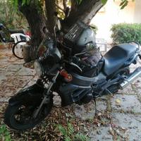 Honda X 11 - 2001