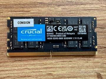 16GB RAM CRUCIAL 5600MHZ