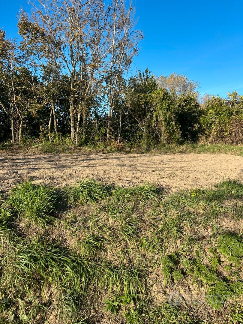 Terreno agricolo - Altro