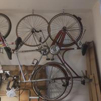 2 bici: 1 tipo passeggio (donna) e 1 corsa (uomo)