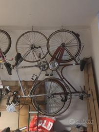 2 bici: 1 tipo passeggio (donna) e 1 corsa (uomo)