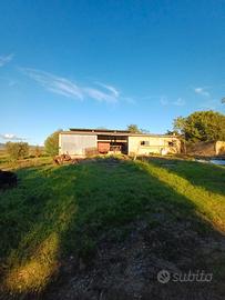 Terreno agricolo