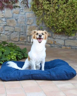 Cuscinetto per cane o gatto