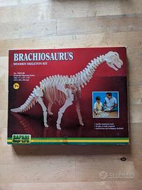 Kit scheletro di Brachiosaurus in legno