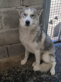 Salva un invisibile " MASCHERINA"