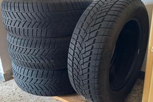 Pneumatici invernali Good Year Performance plus