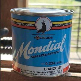 Stock 80 barattoli Smalto elastico Mondial Bianco