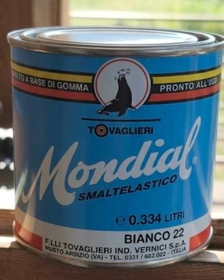 Stock 80 barattoli Smalto elastico Mondial Bianco