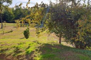 Rustico / Casale di 300 m² con più di 5 locali e p
