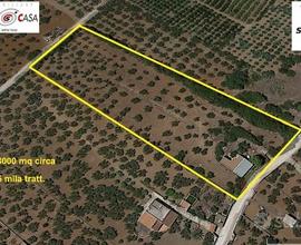 Castelvetrano terreno agricolo 8000 mq con magazzi