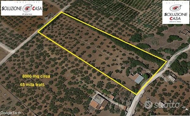 Castelvetrano terreno agricolo 8000 mq con magazzi