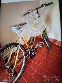 bicicletta 