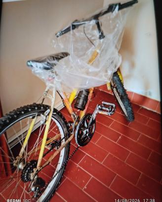 bicicletta 