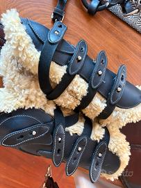 Attrezzatura varia Equitazione