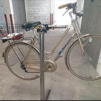 bicicletta da passeggio