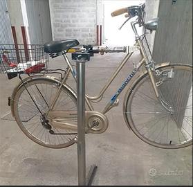 bicicletta da passeggio