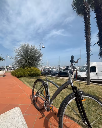 Bici Btwin