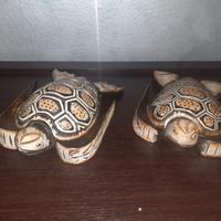 Tartarughe in legno