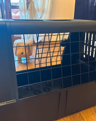 trasportino/kennel auto
