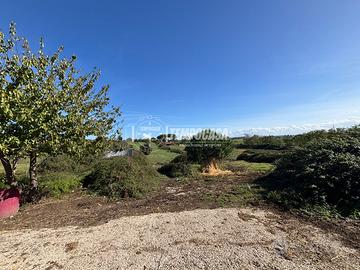 AMPIO TERRENO AD USO COMMERCIALE VIA DELLA TORRETT