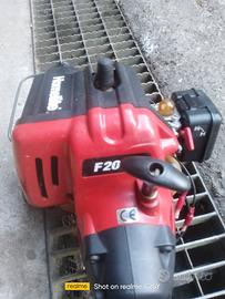 tagliabordi homelite