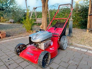 taglia erba Alko 190 cc 