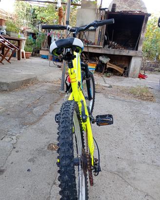 bicicletta per bambino 8 anni