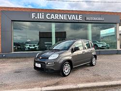 FIAT Panda 3ª serie Panda 1.0 FireFly S&S Hybrid