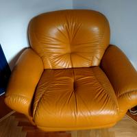 Coppi di poltrone in pelle modello sapporo 