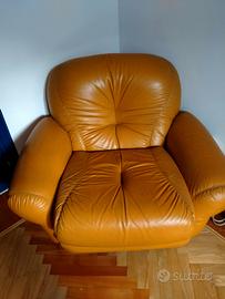 Coppi di poltrone in pelle modello sapporo 